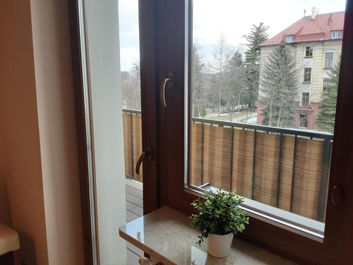 Academy Apartment Cieszyn Cieszyn  Exterior photo
